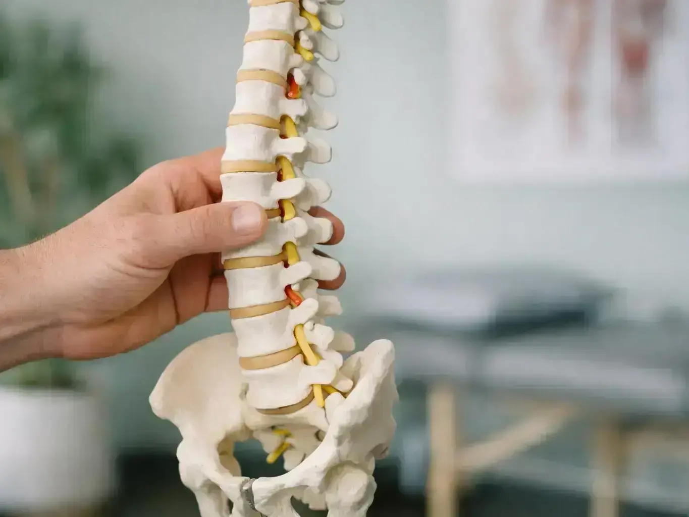 Thompson Technique: Definition, Examples & FAQs — detail
